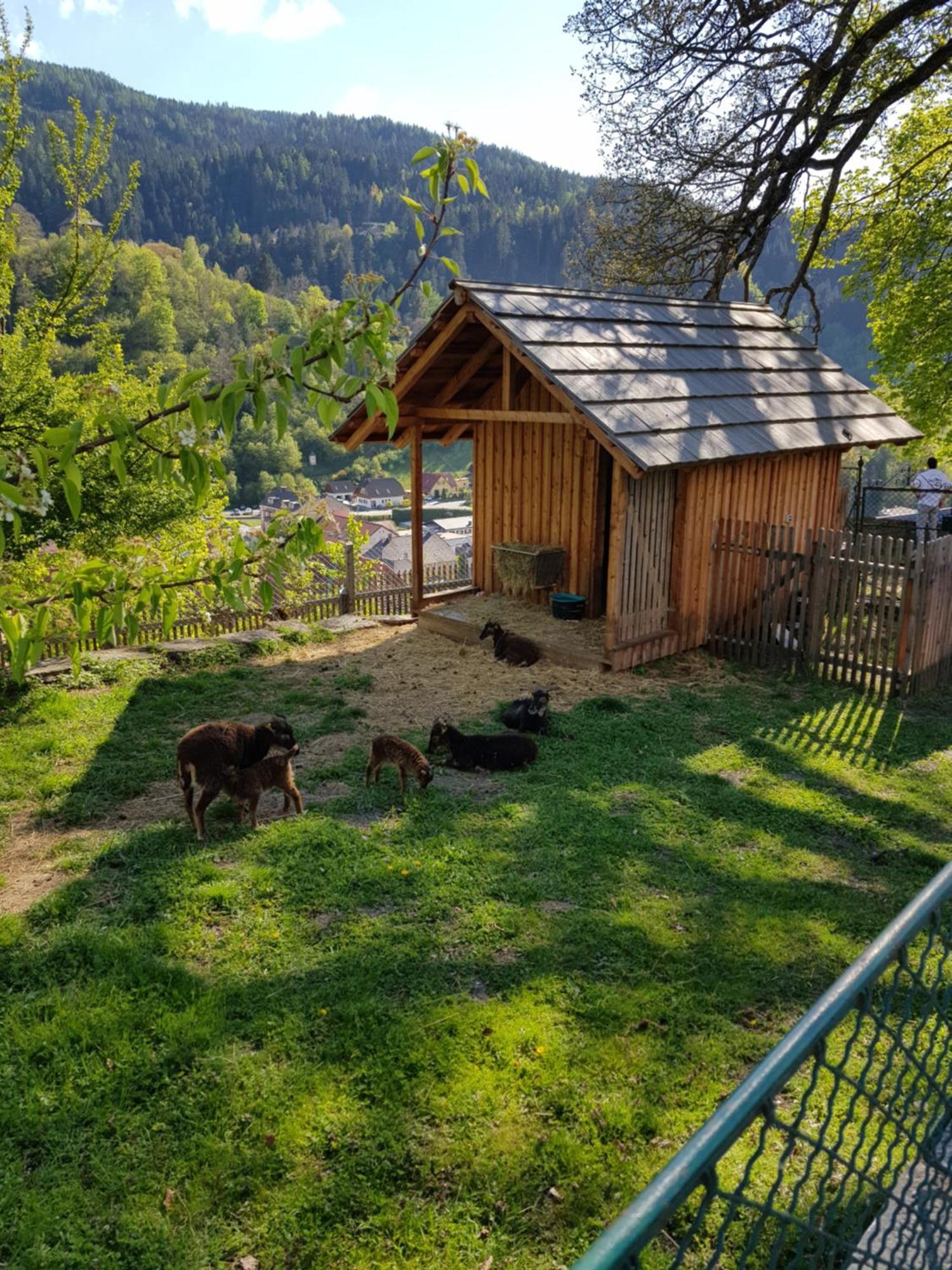 Holiday home Haus Estelle