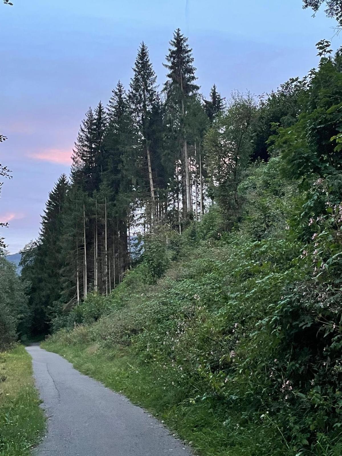 Haus Estelle Holiday home Sankt Lorenzen ob Murau